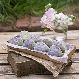 恐怖动作冒险游戏《不可视之轴心》现已在Steam平台正式发布 获多半好评